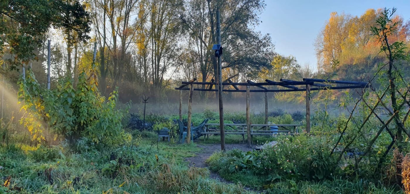 Sfeerbeeld van de Tuinplanner app voor Phood Community Farm Eindhoven